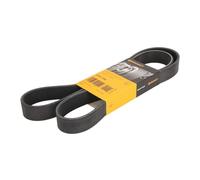 CONTITECH 8PK1390 Courroie Striée