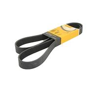 ContiTech Courroie trapézoïdale à nervures 8PK1500