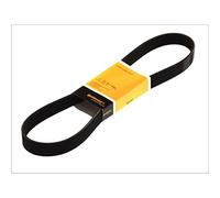 CONTITECH 8PK1538 Courroie Poly-V