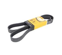 ContiTech Courroie 8PK1550 Poly‑V striée