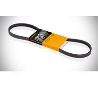 CONTITECH 8PK1740 Courroie Poly-V