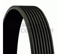Contitech 8PK880 Courroie Striée