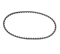 Continental Contitech AVX10X600 Courroie trapézoïdale