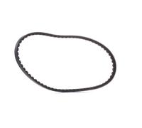 CONTITECH AVX10X725 Courroie trapézoïdale