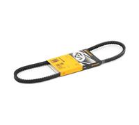 CONTITECH AVX10X850 Courroie trapézoïdale