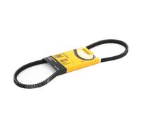 CONTITECH AVX10X865 Courroie trapézoïdale