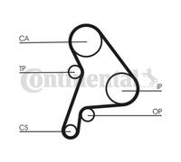 ContiTech Courroie de Distribution Kit - Pièce N° : CT1012K1 - 137 Dents - Orig.