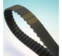 Contitech Courroie dentée Ct608