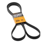 CONTITECH Courroie Poly-V Courroie d'accessoire 6PK2215 pour KIA K9 (RJ) 2215mm