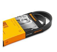 Courroie trapézoïdale à nervures CONTINENTAL 6PK2465
