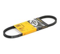 Contitech Courroie Trapézoïdale Vw,Renault,Fiat Avx10x650 117022383400,60523210,456918 95496894,71739908,7611334,7776570,7776570,007753009537,400922