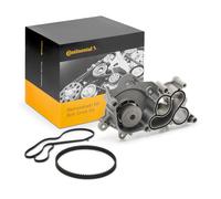 CT1169WP1