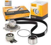 Continental Kit de distribution avec pompe à eau CT968WP1