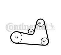 CONTITECH Jeu de courroies trapézoïdales à nervures 6PK1200K2 Poulie de tension compris Poulie de renvoie incl.