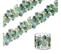 Contour Tableau Eucalyptus Autocollants Décoration Classe Feuilles Mur Crèche Stickers Végétaux École Maternelle Nature Ambiance Porte Créative Élément Déco