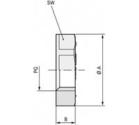Contre-écrou LAPP 52000140 PG13.5 Polystyrène expansé (EPS) 100 pc(s)