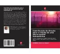 Contribuição Da Direção Para A Criação De Uma Micro-Central Hidroelétrica