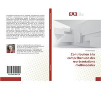 Contribution A la comprehension des representations multimodales