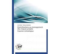 Contributions Au Management Des Risques Projets
