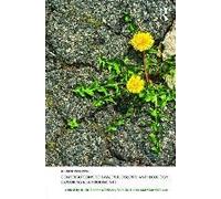Contributions To Law, Philosophy And Ecology