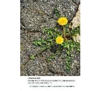 Contributions To Law, Philosophy And Ecology