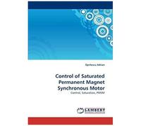 Control Of Saturated Permanent Magnet Synchronous Motor