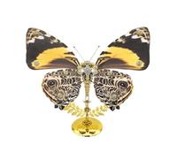 ControlCraze Puzzle 3D en métal pour adultes, steampunk mécanique, papillon, avec socle, modèle de puzzle d'insecte, pour ornements de bureau et cadeaux, 100 pièces