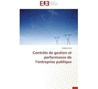 Contrôle De Gestion Et Performance De L'entreprise Publique