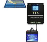 Contrôleur de Charge Solaire MPPT, Compatibilité 12V-48V, Contrôleur de charge solaire, panneau solaire, batterie, charge DC, soleil, variante : 100A, 12V 24V 36V 48V, intégré hors réseau