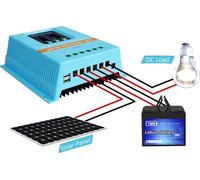 Contrôleur de charge solaire, puissance d'entrée maximale 720W-4800W, double ports USB, 60A, 12V 24V 36V 48V