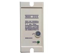 Contrôleur de détection de flamme R4343E1014