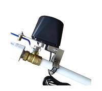 Contrôleur de vanne intelligent Arrêt automatique Marche/Arrêt(Zigbee Type,E/*U Plug)