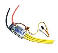 Contrôleur de vitesse sans balais YPG 100 A ESC 2 ~ 6S SBEC RC modèle d'hélicoptère