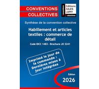 Convention collective Habillement et articles textiles : commerce de détail - IDCC 1483 - JO 3241: Synthèse de la convention collective