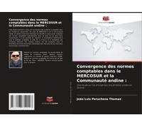 Convergence Des Normes Comptables Dans Le Mercosur Et La Communauté Andine :