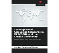 Convergence of Accounting Standards in MERCOSUR and the Andean Community:: A study in publicly traded industrial companies