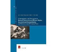 Convergences And Divergences Between International Human Rights Law, International Criminal Law And International Humanitarian Law