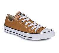 Converse Baskets basses CHUCK TAYLOR ALL STAR in Jaune 39