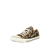 CONVERSE Baskets basses 'Ctas' crème / miel / noir, Taille 42