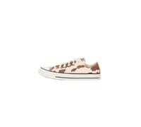 CONVERSE Baskets basses 'CTAS OX' crème / noisette, Taille 35-35,5