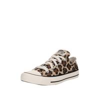 CONVERSE Baskets 'CTAS OX' camel / marron / noir, Taille 35,5