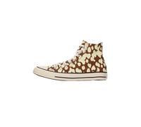 CONVERSE Baskets hautes 'Chuck Taylor All Star' écru / chocolat, Taille 44