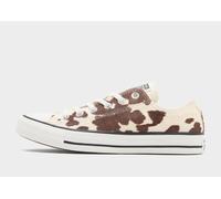 Converse Chuck Taylor All Star Ox Pony Hair Femme - Blanc 36.5