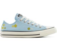 Converse Converse Blue Chuck Taylor Embroidered Florals Low Trainers