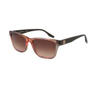 Converse, Femme, Accessoires, Brun, Taille: ONE Size Acetate Rectangle Lunettes de soleil
