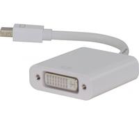 Generique Convertisseur actif mini DisplayPort vers DVI Mâle