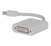 Generique Convertisseur actif mini DisplayPort vers DVI Mâle