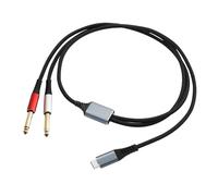Convertisseur auditif professionnel à double canal en cuivre 24 AWG avec prise de 6,35 mm avec double câble audio blindé USB de type C avec double prise