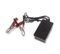 Convertisseur de Puissance avec Clip de Batterie 12 V / 24, Type B
