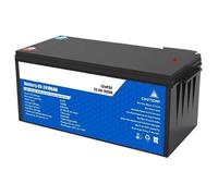 convertisseur de Puissance Batterie Lithium Rechargeable LiFePO4 50 Ah 100 Ah 200 Ah 12 V 24 V BMS pour Camping-Car Et Camping-Car(12V 200AH)